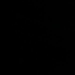 Meet your Posher, Brady